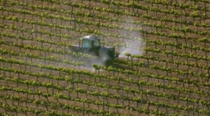 Gluten Intolerance or Pesticide Poisoning?